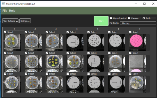 macroPhor™ Array - Image 5
